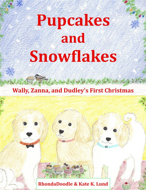 Click for link to Amazon Click for link