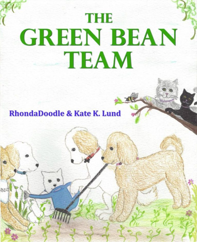 The Green Bean Team